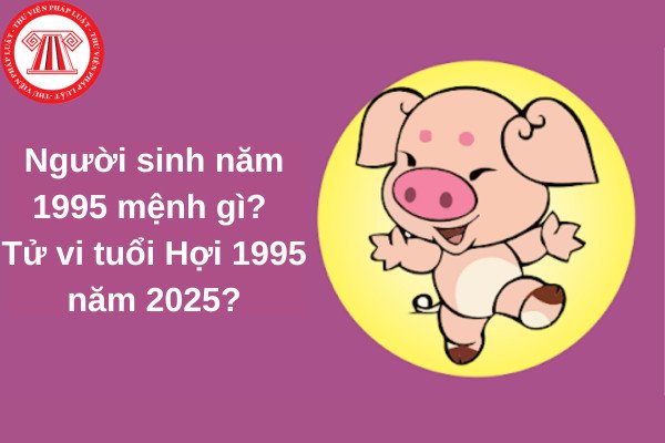 Tử Vi Ất Hợi 1995: Khám Phá Mệnh Cách và Vận Hạn Năm Nay
