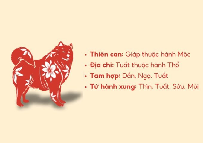 Phong thủy tuổi Giáp Tuất 1934 về tuổi hợp, hướng tốt và các yếu tố xung khắc