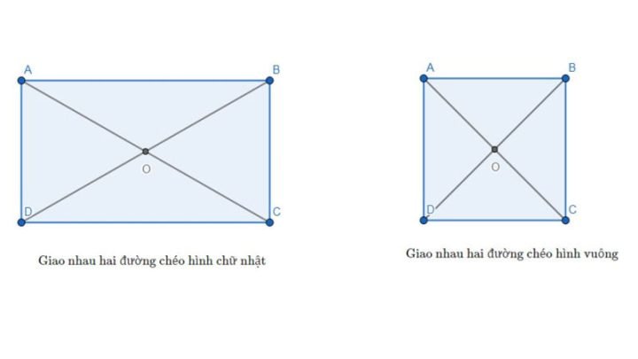 Một hình tứ giác phức tạp với các đường chéo nội tại