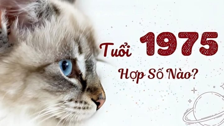 Con số may mắn cho người sinh năm 1975 mệnh Thủy