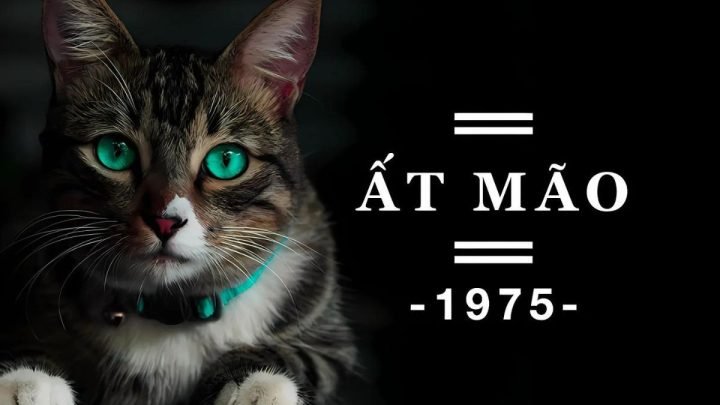Tuổi Ất Mão 1975 và biểu tượng con Mèo