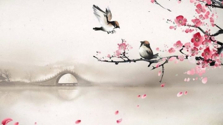 Giải Mã Cung Thiên Di Trong Tử Vi: Chìa Khóa Vận Mệnh Di Chuyển