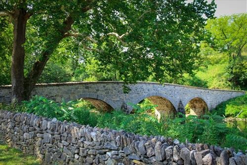 Tử Vi 25/5 Lịch Ngày Tốt: Dự Đoán Vận Mệnh và Phong Thủy