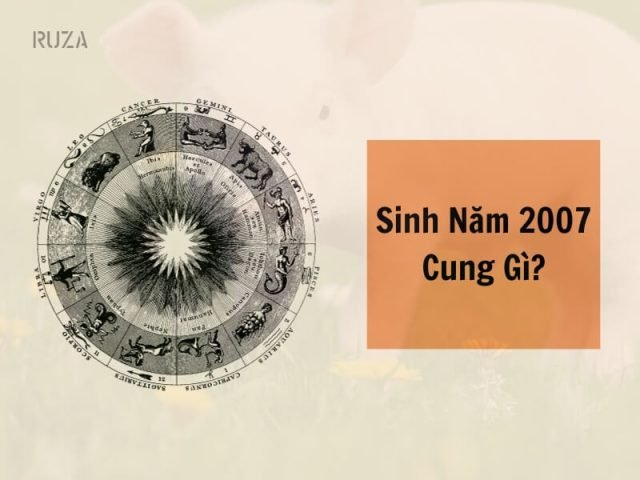 Cung mệnh của người sinh năm Đinh Hợi 2007