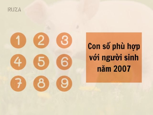 Con số may mắn và kiêng kỵ cho tuổi Đinh Hợi 2007