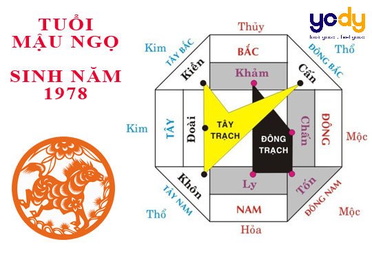La bàn phong thủy chỉ hướng nhà tốt và xấu cho gia chủ tuổi Mậu Ngọ 1978