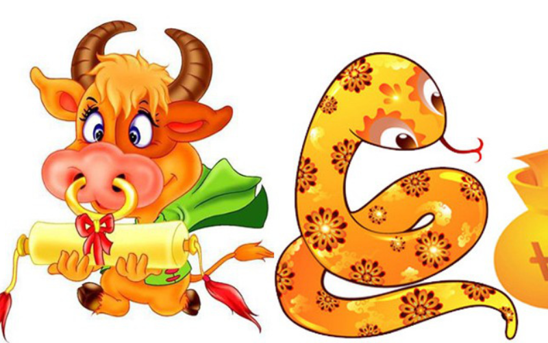 Các Yếu Tố Phong Thủy Ảnh Hưởng Đến Sự Hợp Khắc Của Sửu – Tỵ