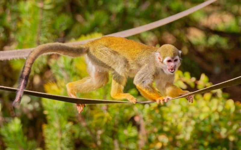 Cách Tăng Cường May Mắn Và Phát Triển Bản Thân Ở Tuổi 21