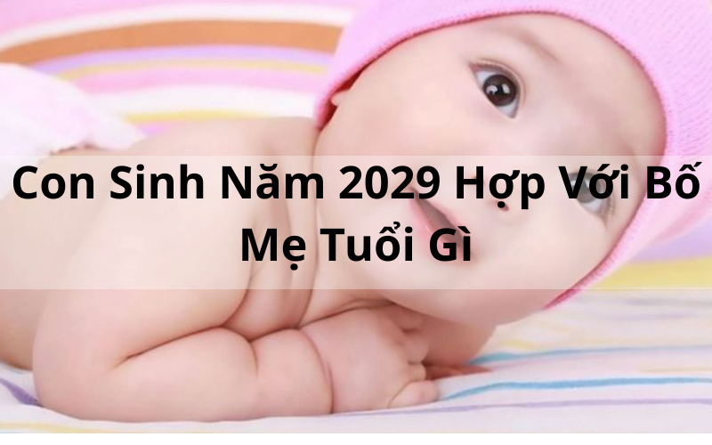 Con Sinh Năm 2029 Hợp Với Bố Mẹ Tuổi Gì_ Giải Mã Chi Tiết