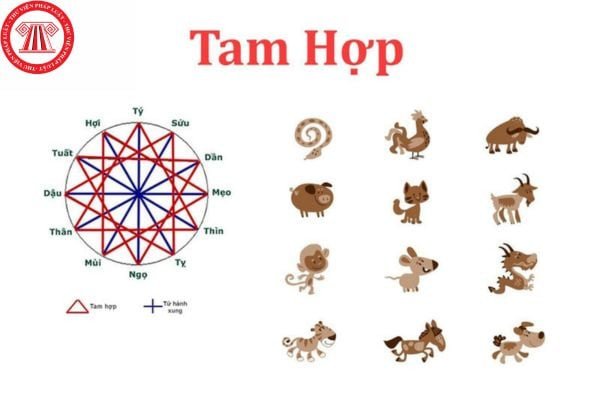 Khái niệm tam hợp là gì trong tử vi 12 con giáp