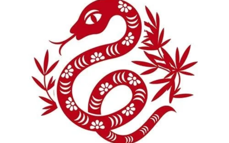 Đặc Điểm Chung Của Người Tuổi Tỵ