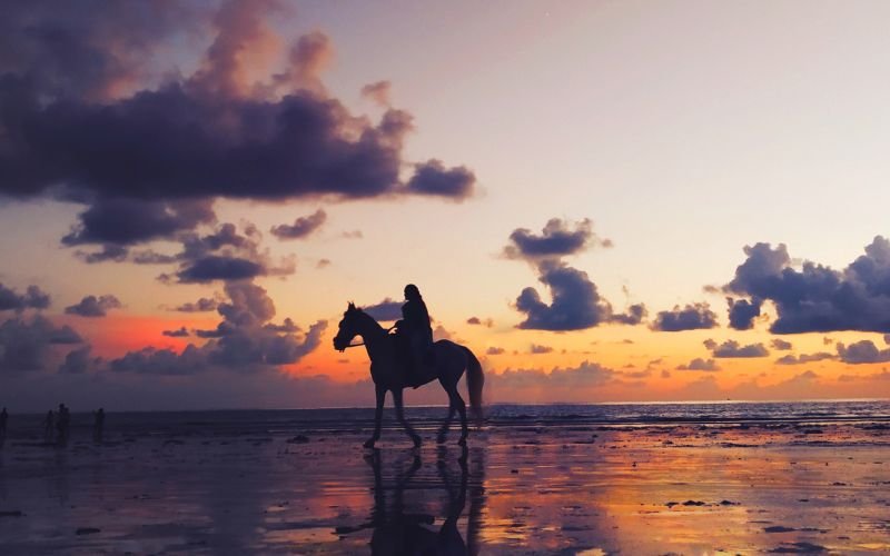 Đặc Điểm Nổi Bật Của Người Tuổi Giáp Ngọ 2014