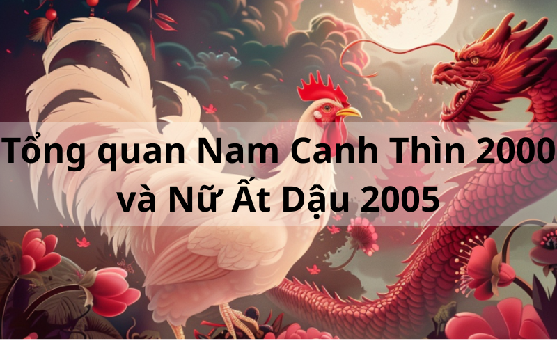 Đánh Giá Tổng quan Nam Canh Thìn 2000 và Nữ Ất Dậu 2005Tổng quan Nam Canh Thìn 2000 và Nữ Ất Dậu 2005