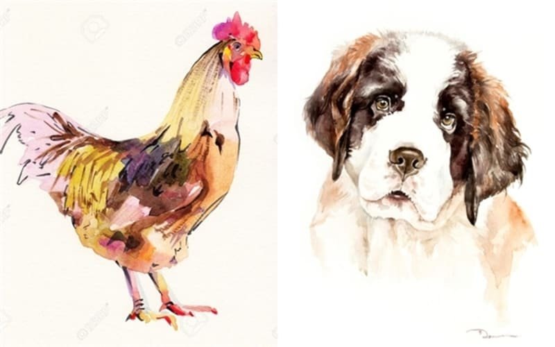 Để mối quan hệ Tuất Dậu được bền chặt, cả hai cần học cách thấu hiểu, thông cảm (1)