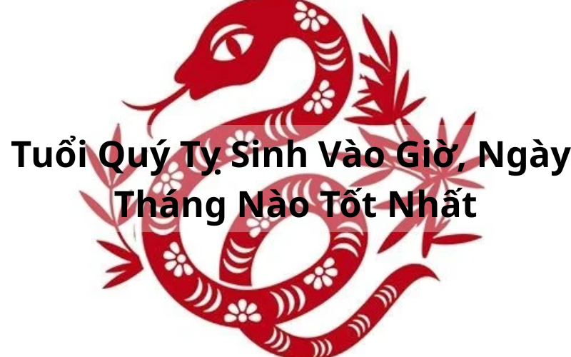Giải Mã Tuổi Quý Tỵ Sinh Vào Giờ, Ngày, Tháng Nào Tốt Nhất