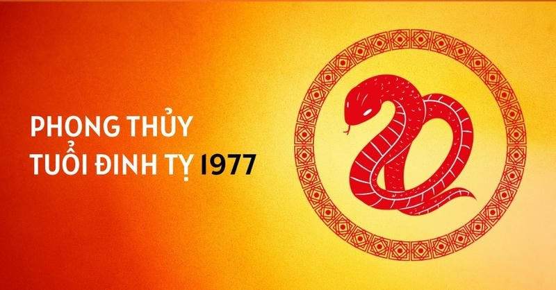 Giờ Hoàng Đạo Và Việc Nên – Không Nên Làm Trong Ngày Của Tuổi Đinh Tỵ