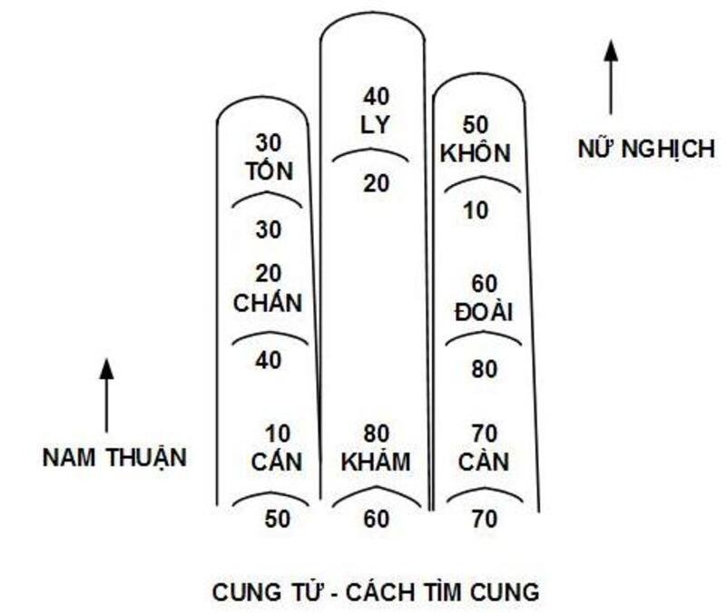 Hướng dẫn chi tiết cách tính 8 cung tử vi để xem vận mệnh con cháu
