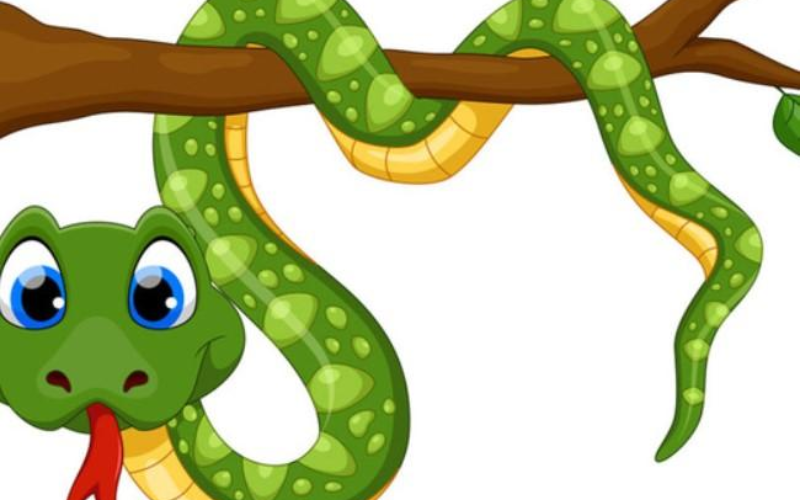 Lời Khuyên Cho Người Tuổi Rắn Để Phát Huy Tối Đa Vận May