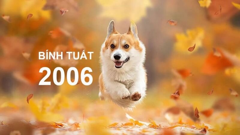 Lợi ích phong thủy khi tuổi Bính Tuất 2006 chọn ngày tốt mua xe