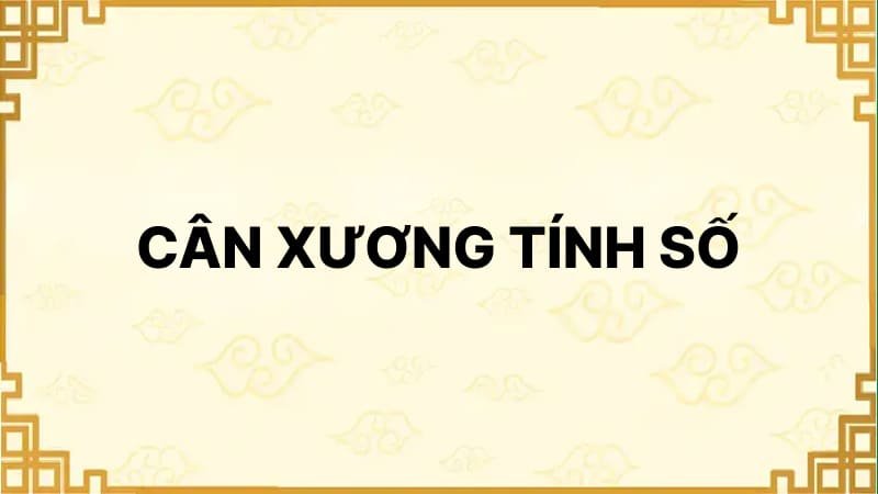 Luận Giải Chi Tiết Các Mức Cân Lượng Trong Cân Xương Tính Số