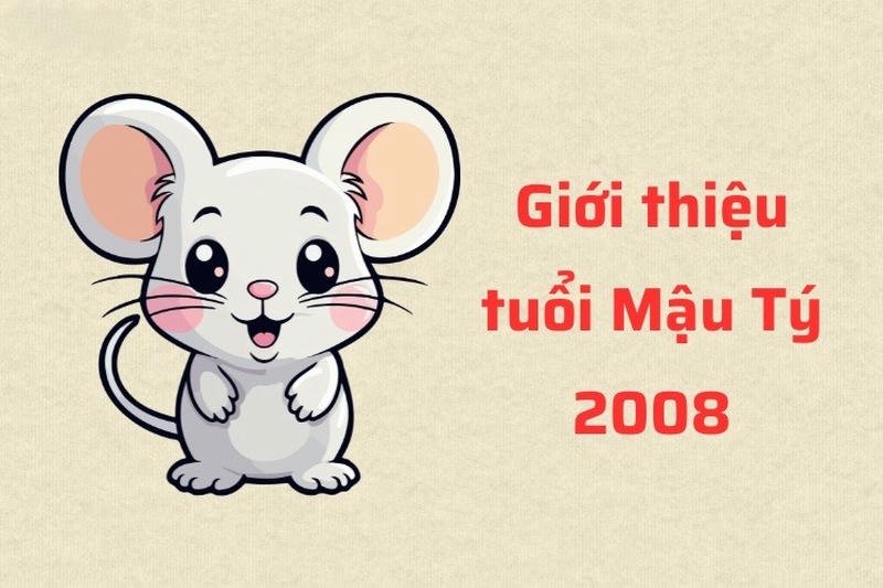 Luận Giải Tử Vi Nam Nữ Mậu Tý 2008 Theo Giới Tính