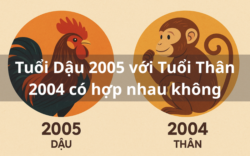 Luận Giải_Tuổi Dậu 2005 với Tuổi Thân 2004 có hợp nhau không