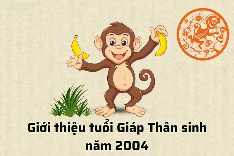 Người Sinh Năm 2004 Thuộc Tuổi Gì và Mệnh Gì