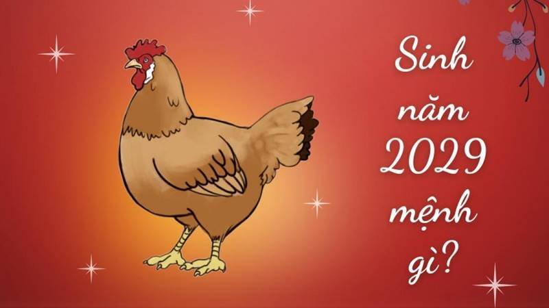 Người sinh con năm 2029 mệnh Thổ sẽ hợp với các màu thuộc hành Hỏa, Thổ và Kim