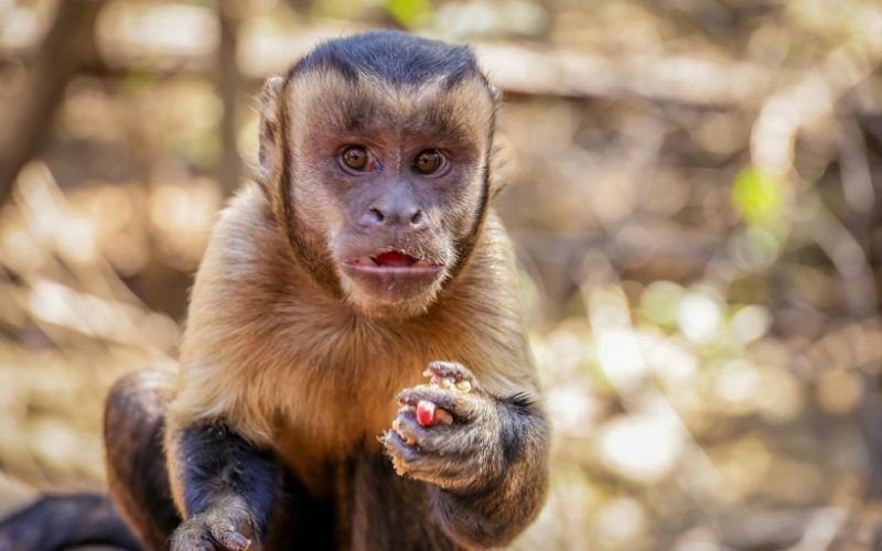 Những Năm Khó Khăn Nhất Trong Cuộc Đời