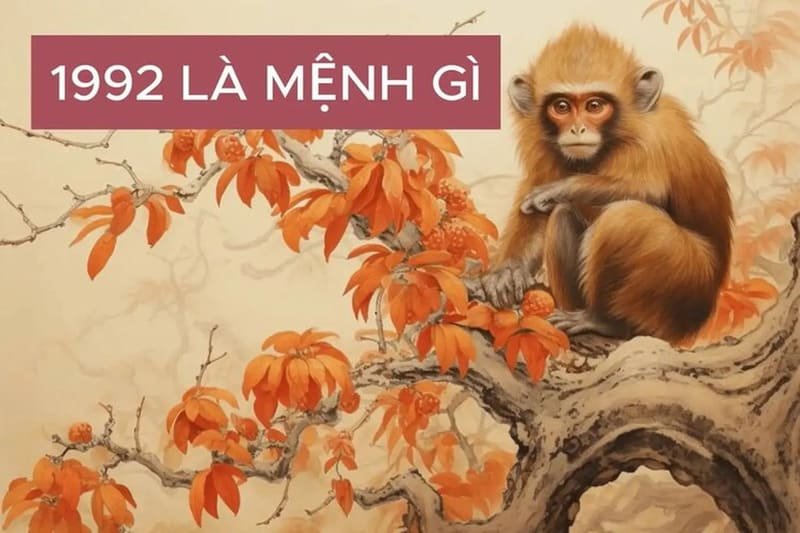 Những người phụ nữ sinh năm Nhâm Thân 1992 thuộc con giáp Khỉ, cụ thể là Thanh Tú Chi Hầu