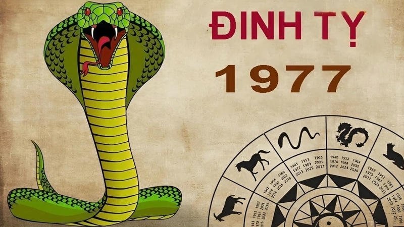 Tổng Quan Về Vận Trình Tuổi Đinh Tỵ Trong Ngày