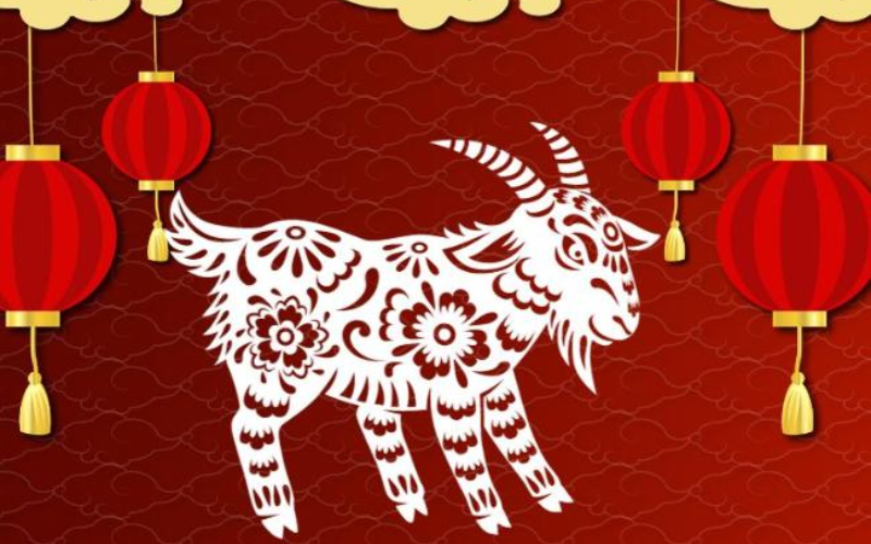 Tổng quan về tuổi Quý Mùi 2003 và Bính Tuất 2006