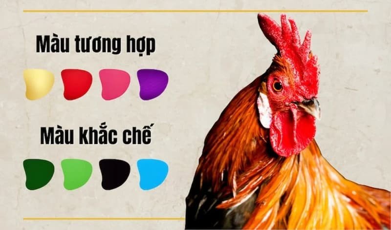 Tránh Xa Các Màu Tương Khắc Để Gia Đạo Bình An