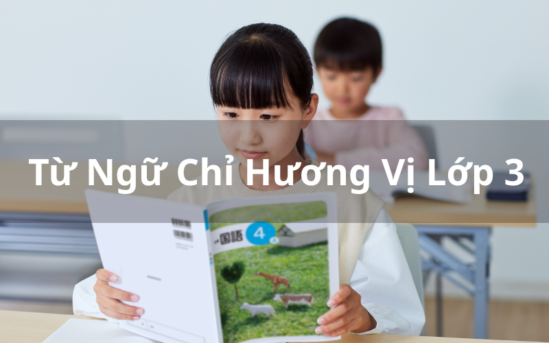Từ Ngữ Chỉ Hương Vị Lớp 3
