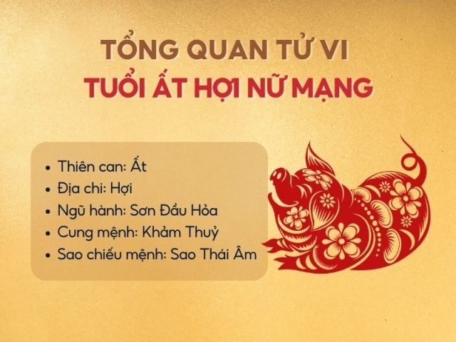 Tổng quan tử vi nữ Ất Hợi 1995 năm 2025 chi tiết về vận mệnh, sao chiếu mệnh.