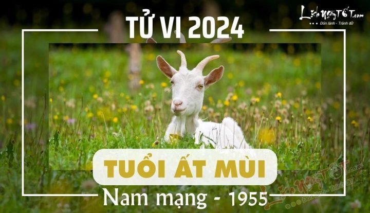 Vận trình tử vi tuổi Ất Mùi 1955 nam mạng trong năm Giáp Thìn với các yếu tố phong thủy