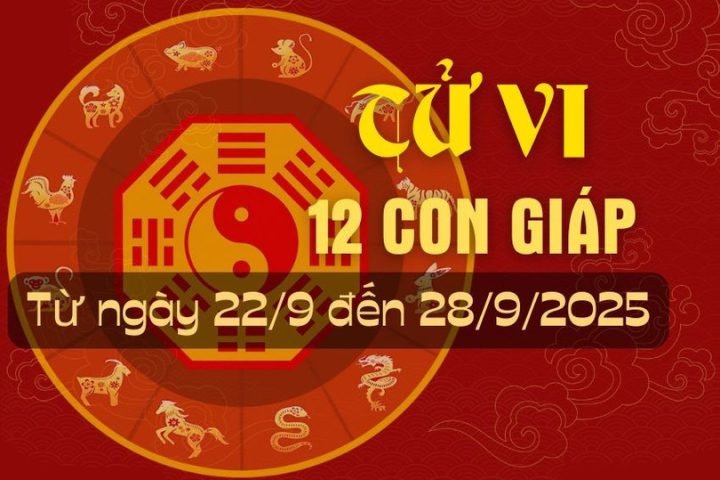 tử vi tuần mới tổng quan