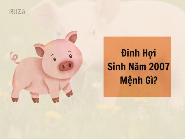 Ý nghĩa mệnh Ốc Thượng Thổ của tuổi Đinh Hợi 2007