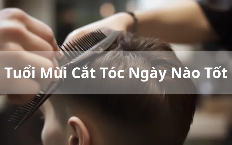 Tuổi Mùi Cắt Tóc Ngày Nào Tốt_ Chọn Ngày Lành Đón Lộc Vượng