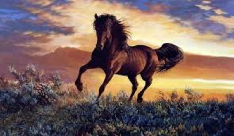 Tuổi Nhâm Ngọ là những cá nhân có tâm hồn tự do, khao khát khám phá và yêu thích sự phiêu lưu