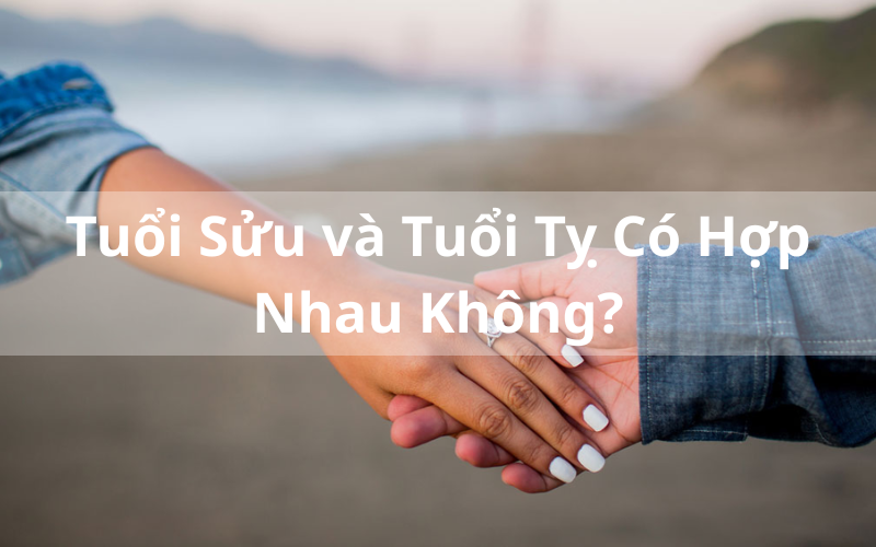 Tuổi Sửu và Tuổi Tỵ Có Hợp Nhau Không_ Giải Đáp Chi Tiết