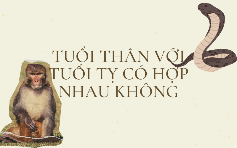 Tuổi Thân Với Tuổi Tỵ Có Hợp Nhau Không