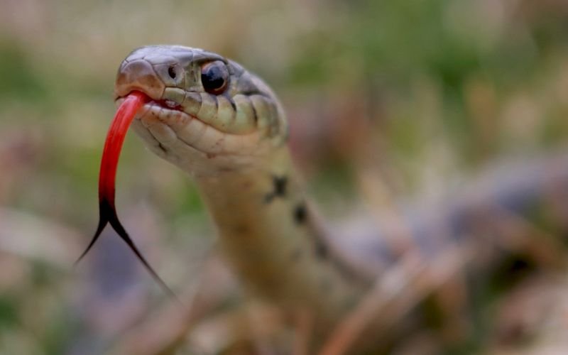 Ứng Dụng Giờ Sinh Trong Định Hướng Phát Triển Tương Lai Cho Trẻ Tuổi Ất Tỵ