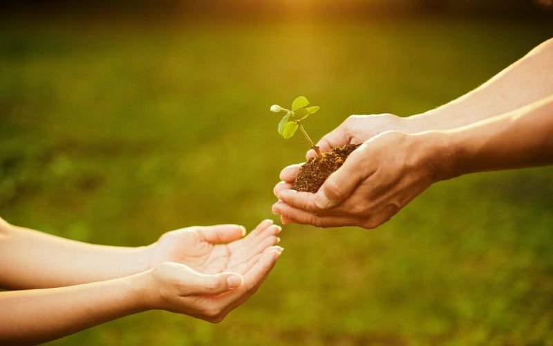 Ứng Dụng Tử Vi Hàng Tuần Lý Gia Hào Trong Đời Sống