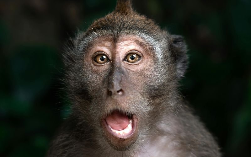 Vận Hạn – Sao Chiếu Mệnh Và Cách Hóa Giải Theo Từng Năm