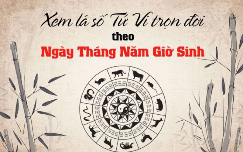 Vận Mệnh Người Tuổi Tỵ Theo Ngày Sinh Ảnh Hưởng Thế Nào
