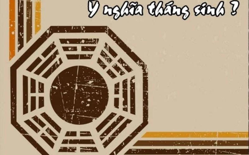 Vận Mệnh Người Tuổi Tỵ Theo Tháng Sinh Đặc Biệt