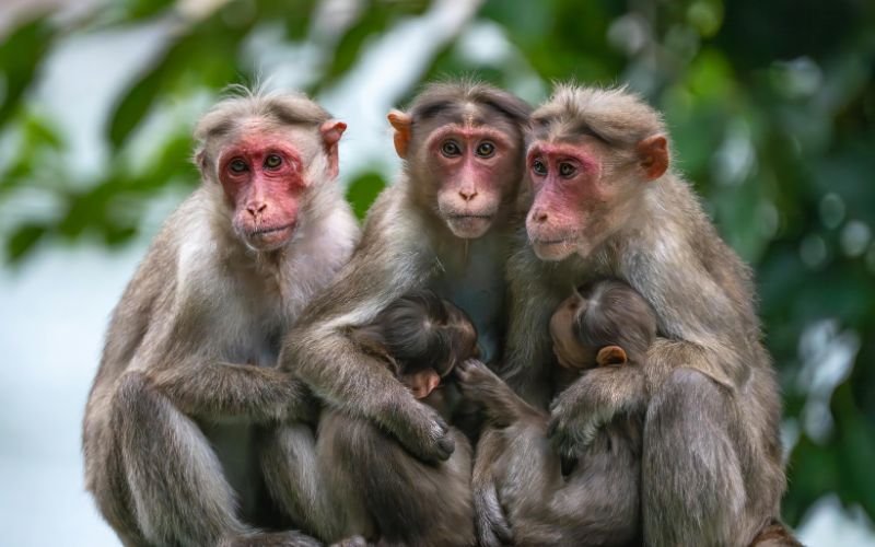 Vận Mệnh Và Tính Cách Của Người Đúng 21 Tuổi