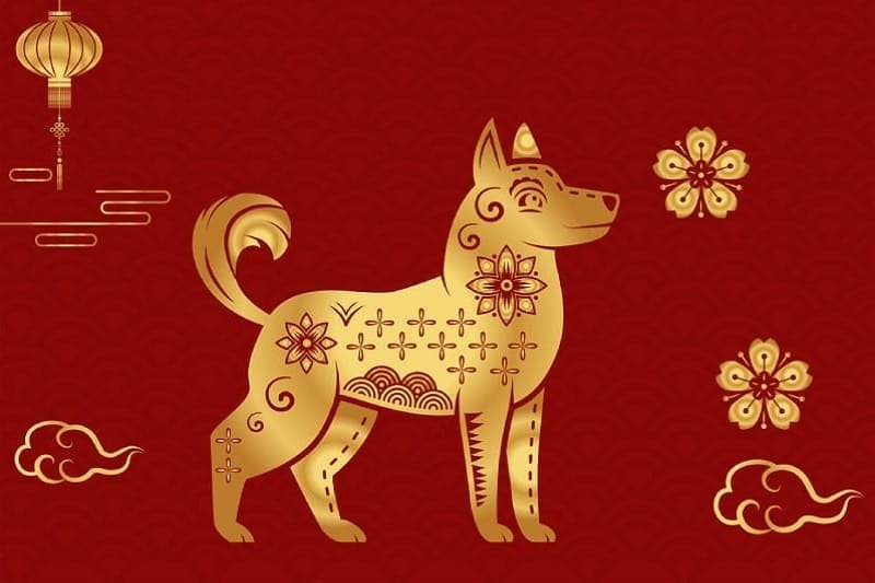 Vận trình của người tuổi Nhâm Tuất hôm nay được dự báo sẽ có những biến động nhất định