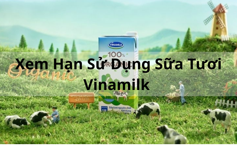 Xem Hạn Sử Dụng Sữa Tươi Vinamilk Chuẩn Xác Nhất